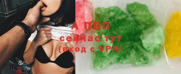 индика Алексин