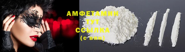 индика Алексин