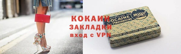 индика Алексин