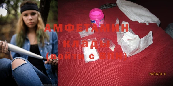 индика Алексин