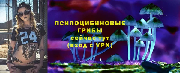 амф Алексеевка