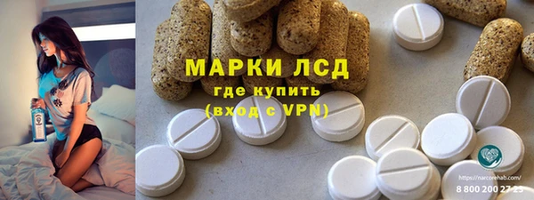 индика Алексин