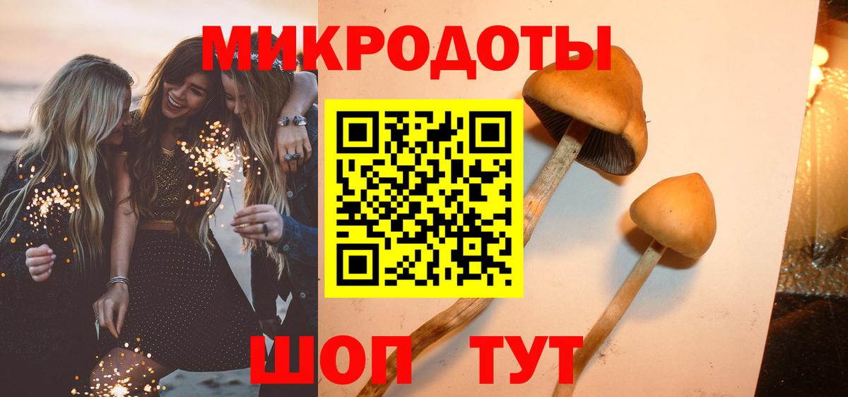 Биробиджан  Псилоцибиновые грибы Psilocybine cubensis  где найти наркотики  Вход с VPN 