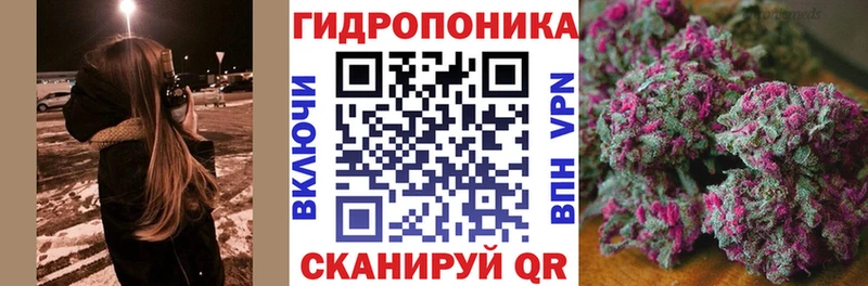 дарнет шоп  Биробиджан  МАРИХУАНА ГИДРОПОН 
